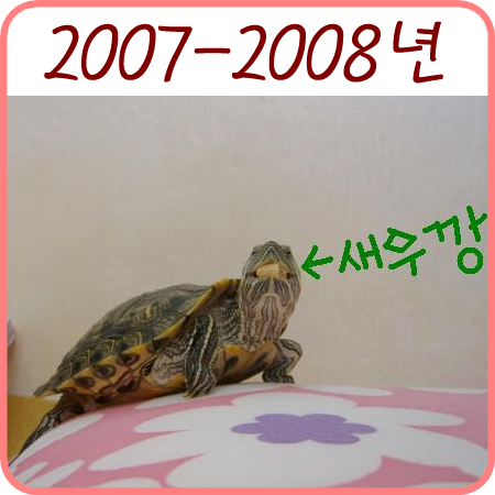  2007-2008년의 레드 이야기