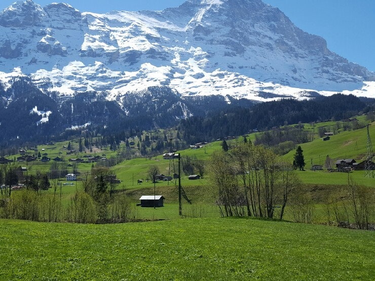 스위스 알프스산맥 : 네이버 블로그