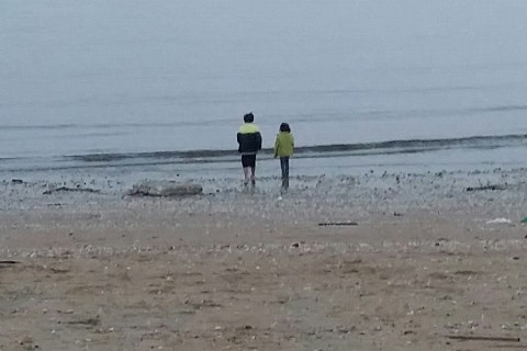 오늘바다 이미지