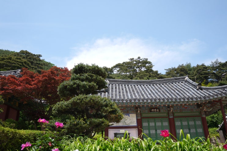  강화도 가볼만한곳, 오랫만의 모녀여행 :), 죽림다원, 전등사