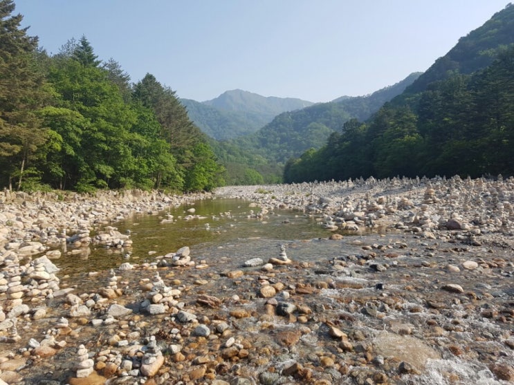  초여름 백담사 풍경
