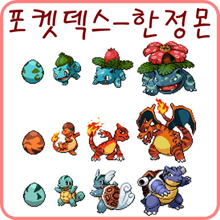  포켓덱스