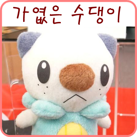  가엾은 수댕이..