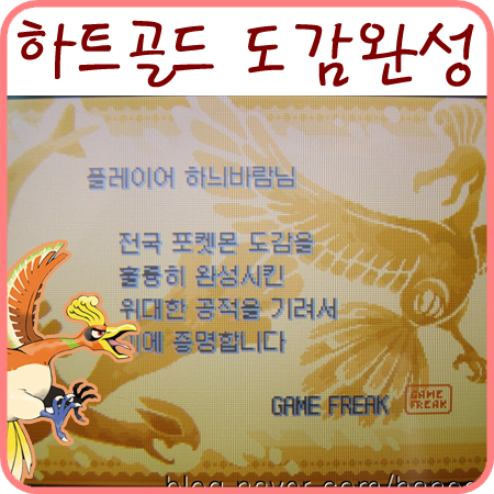  포켓몬스터 하트골드 한국판 전국도감 완성 & 박스 소개