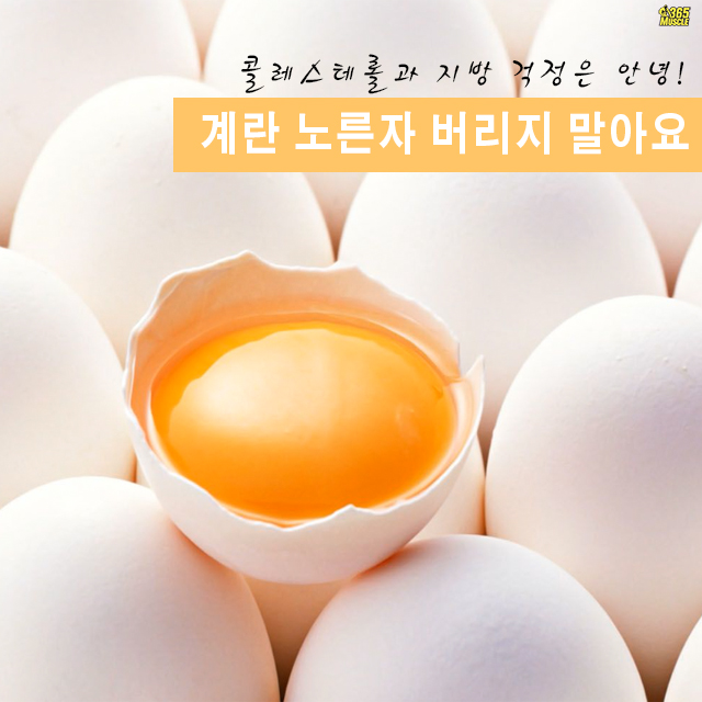 콜레스테롤과 지방 걱정은 안녕! 계란 노른자 버리지 말아요 : 네이버 블로그