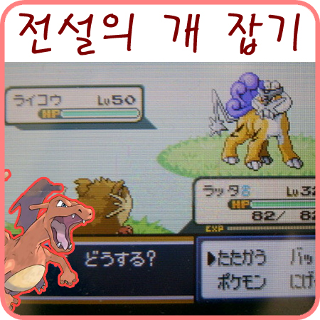  포켓몬스터 파이어레드 - 스이쿤&라이코 포획 완료
