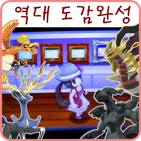  포켓몬스터 도감 완성과 표창장 이야기