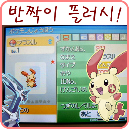  와와 플러시 반짝이!! +_+
