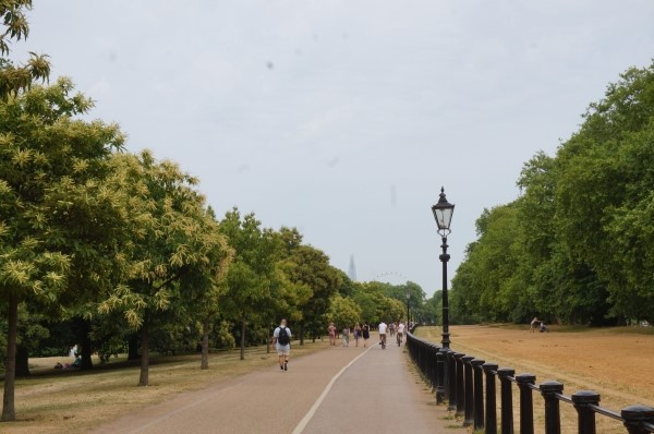 １着でも送料無料】 HYDE ビニール傘 HYDEPARK ハイドパーク 傘 - www