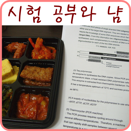  도시락 깨작거리며 시험 공부~