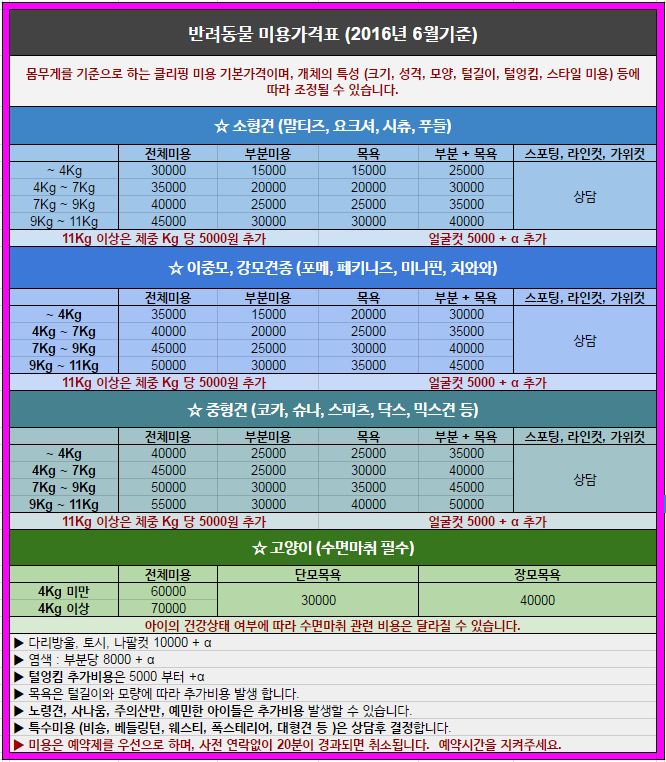 고양이 미용 : 소캣 용인와이페이에 다녀왔습니다.