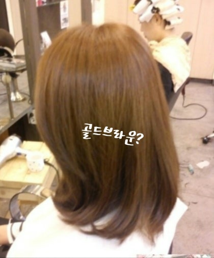 적갈색과 금발의 낮은 빛이 있는 갈색 머리