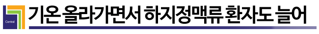  하지정맥류 방치하면 병 키우는 지름길