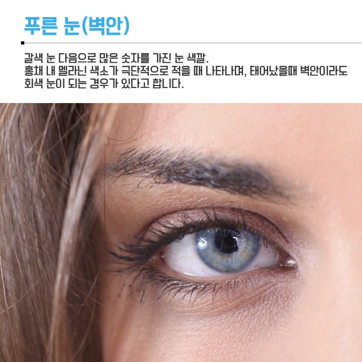사람의 눈(안구)색상, 몇 종류나 될까? : 네이버 블로그 사람의 눈(안구)색상, 몇 종류나 될까? : 네이버 블로그