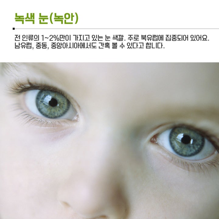 사람의 눈(안구)색상, 몇 종류나 될까? : 네이버 블로그 사람의 눈(안구)색상, 몇 종류나 될까? : 네이버 블로그