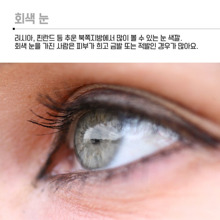 사람의 눈(안구)색상, 몇 종류나 될까? : 네이버 블로그 사람의 눈(안구)색상, 몇 종류나 될까? : 네이버 블로그