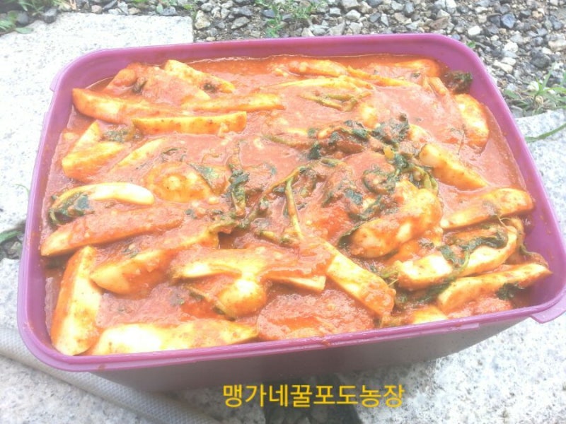 알타리달랑무김치 총각김치 쉽게 담그는법