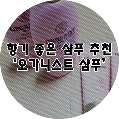 향기 좋은 샴푸 찾다가 발견한 오가니스트 체리블라썸 샴푸:)