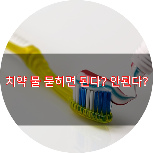  치약 물 묻히면 된다? 안된다?