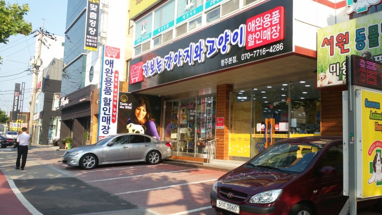 <청주 복대동> 장보는 강아지와 고양이 청주 본점 구경갔어요 <청주 복대동> 장보는 강아지와 고양이 청주 본점 구경갔어요