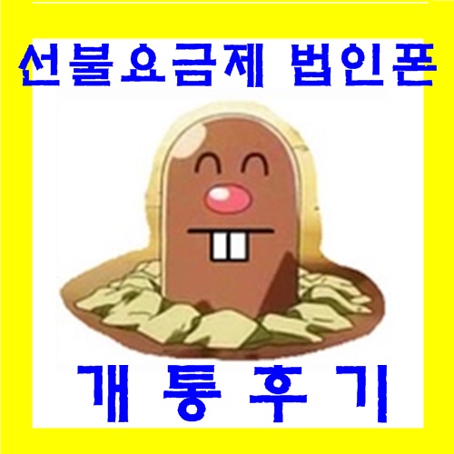  선불요금제로 법인폰 미팅후 개통해드렸어요~