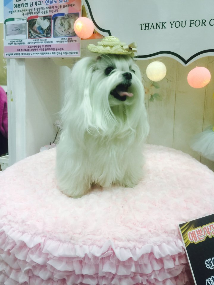  순이왔져용