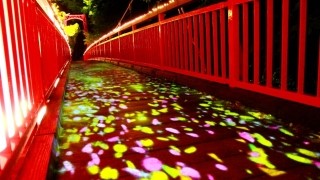 Japan 죠잔케이 네이쳐 루미날레 Jozankei Nature Luminarie By Naked 네이버 블로그