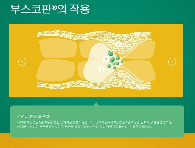 홍약사> 부스코판® 플러스 - 진경 & 진통 이중효과 : 네이버 블로그