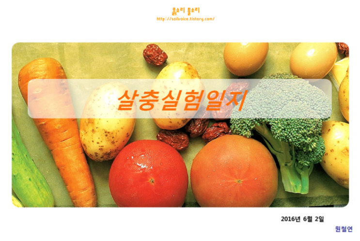  살충제 실험 (2016年 6月 2日) – 잎들깨, 상추 등 7개 작물
