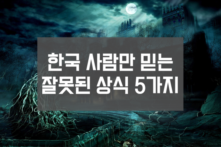 한국사람만 믿는 잘못된 상식 5가지 - 한국괴담 한국사람만 믿는 잘못된 상식 5가지 - 한국괴담