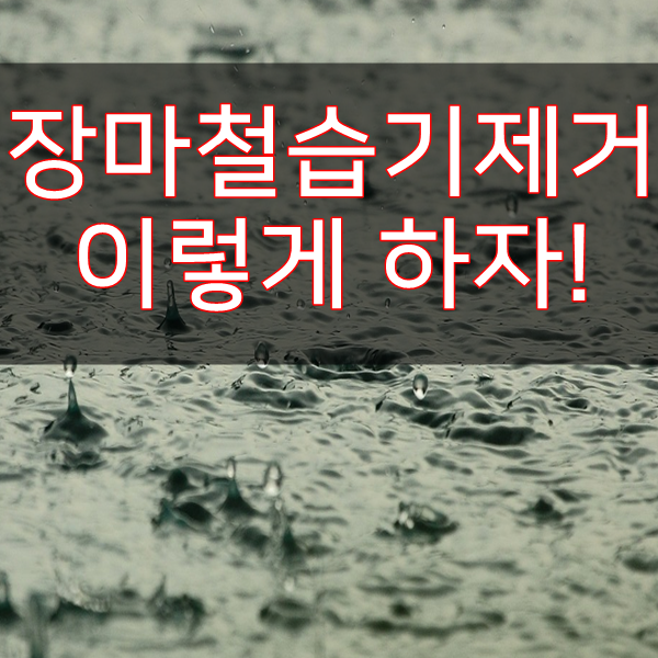 장마철습기제거 이렇게 하자!