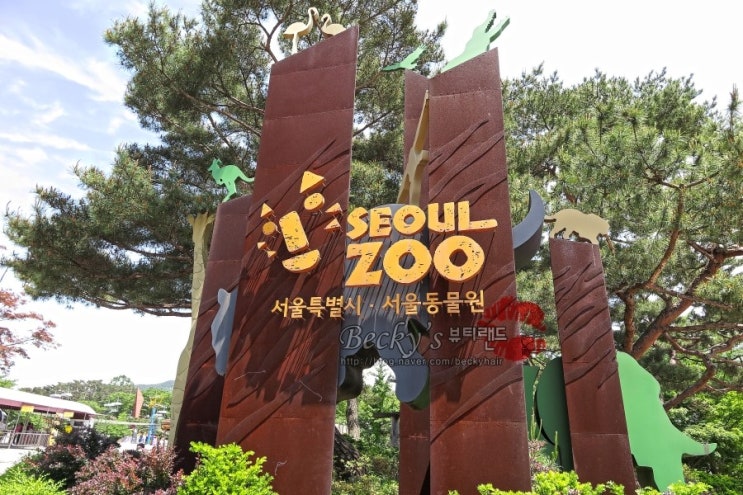  정글북에 나왔던 서울대공원 맹수 관람했어요