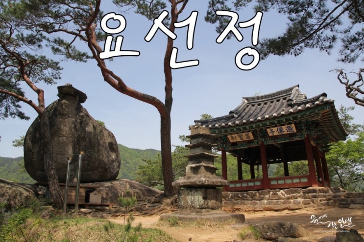  [영월 가볼만한곳] 요선정 & 요선암 돌개구멍
