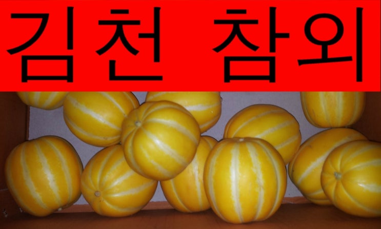  김천 참외 달고 맛있어요.
