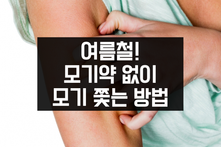 여름철! 모기약 없이 모기 쫓는 방법