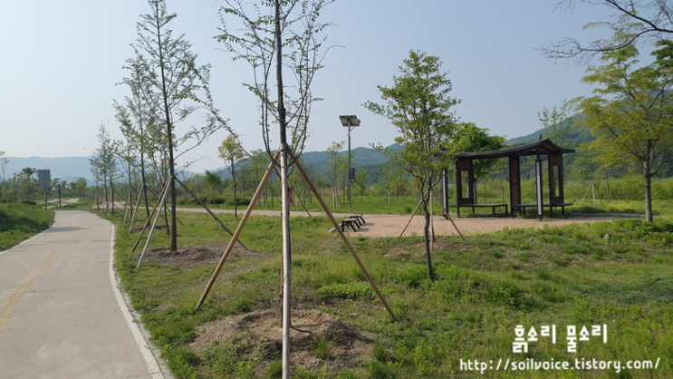  요즘 산책하기 좋은 곳 - 강변 생태공원 산책로