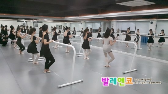  발레? 실수하면 어때 노력하면 돼지! (성인발레 발레스트레칭 뽀개기)