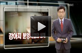  MBC PD수첩 "당신의 반려견, 어떻게 분양 받으셨습니까?"를 보면서 느낀점...