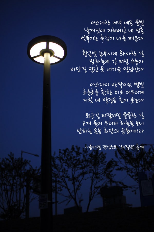 í•´ì§ˆë…˜ ê³ ê°œë