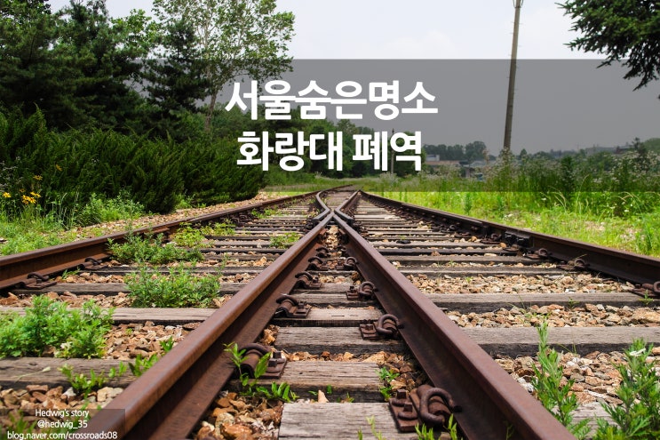  숨겨진 서울 명소 기찻길 인생샷 찍기 화랑대 폐역