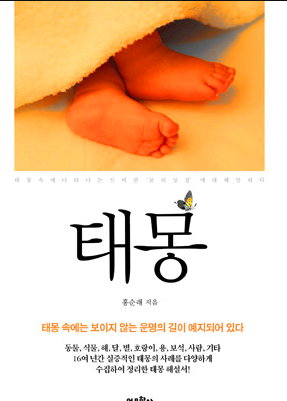 태몽곰..곰이 나오는 꿈해몽을 아시나요?