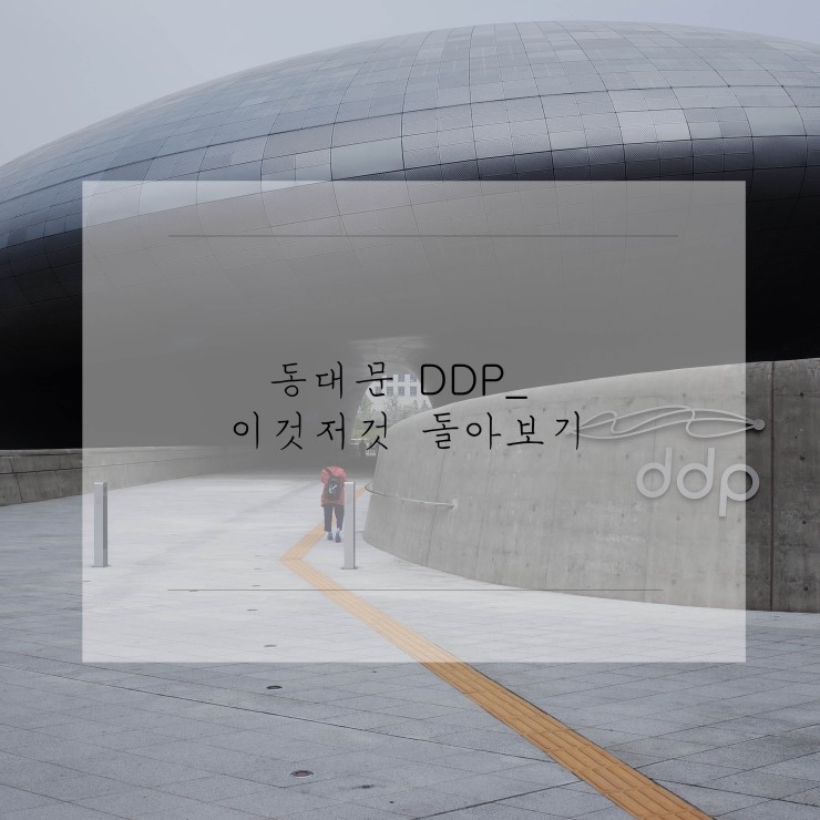  동대문 DDP 다녀왔어요! 