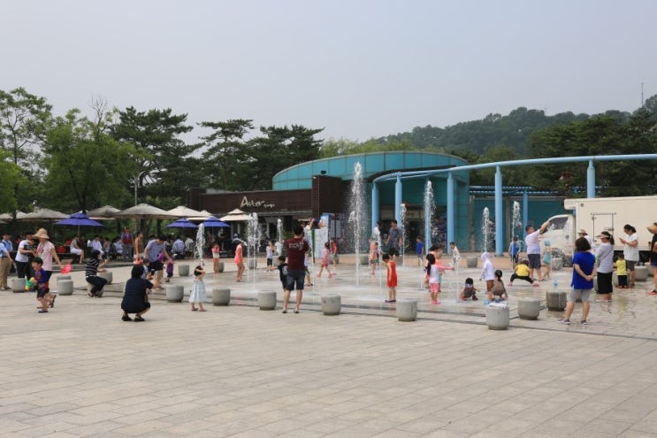  월드컵 공원 에서 야외 결혼식 
