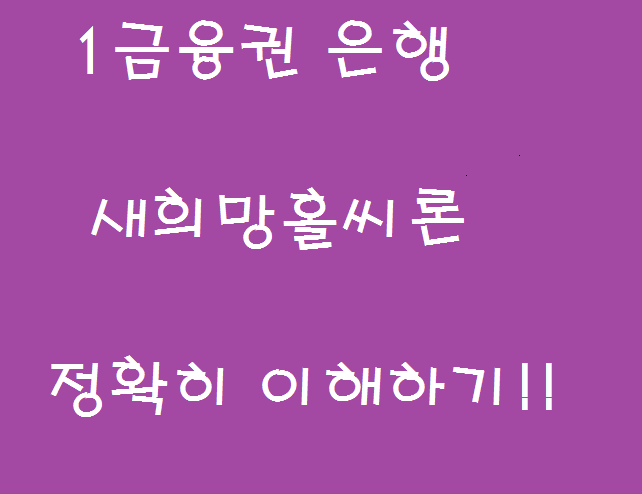  은행 직장인 신용대출 새희망홀씨론 승인 잘나는곳