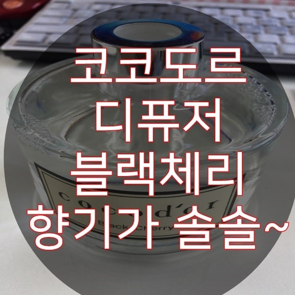  코코도르블랙체리 향기가 솔솔~