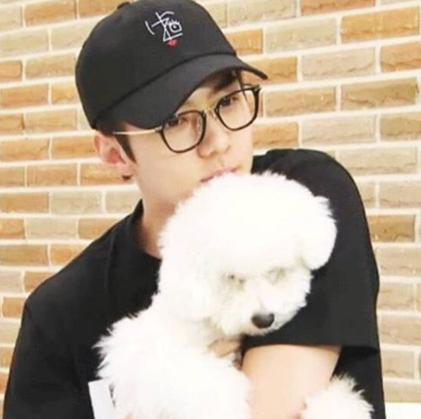 Sehun's Instagram / EXO Sehun / Sehun Photos / EXO Instagram / Kiona