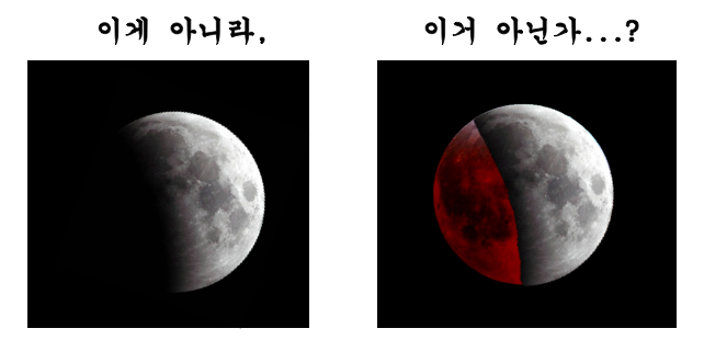 월식 사진