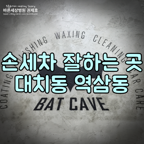  대치동 손세차 : 이보다 더 정성일수는 없는 곳