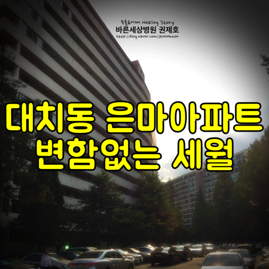  대치 은마아파트 : 변함없는 세월
