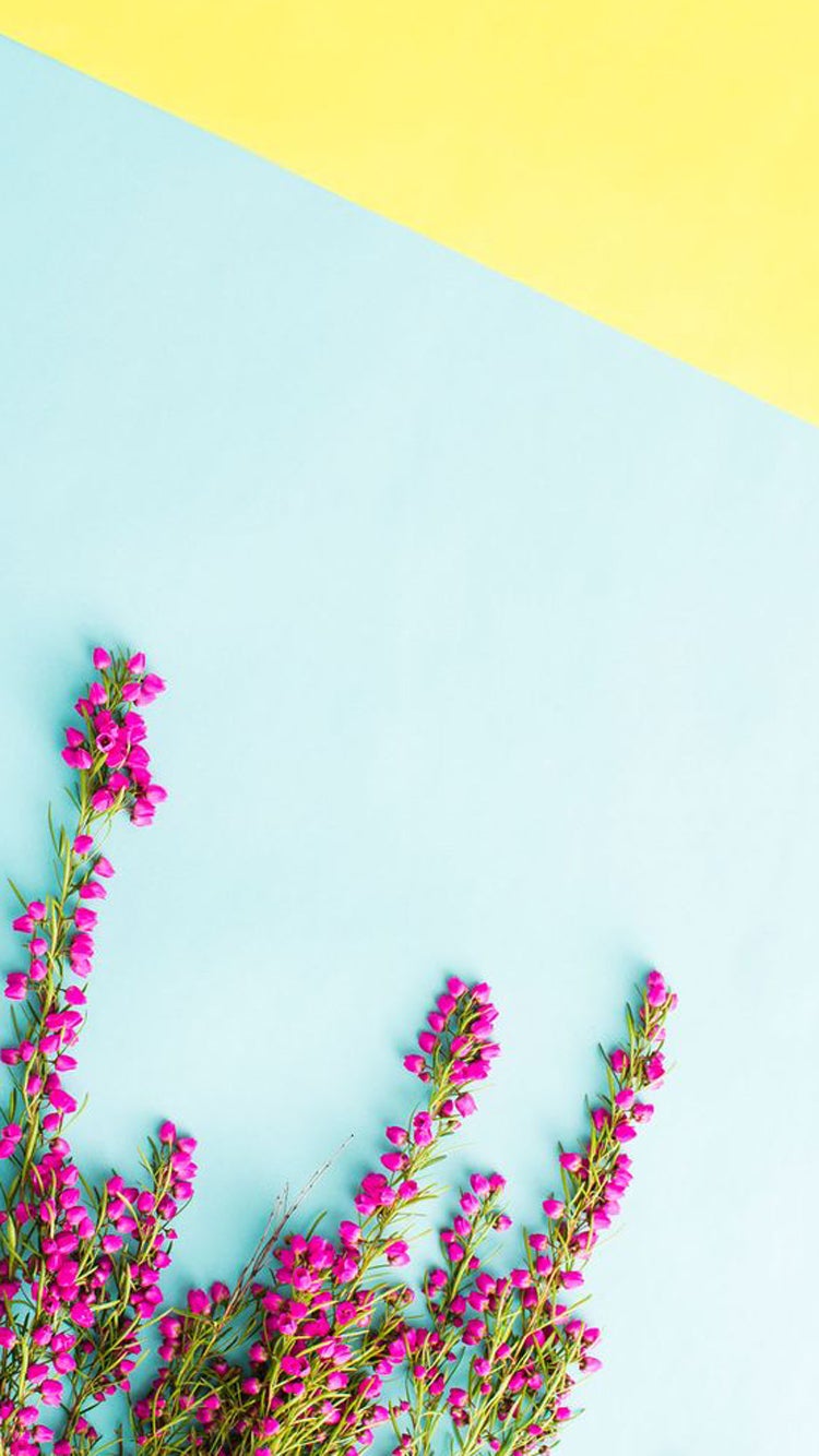 아이폰 배경화면 고화질, 심플 배경화면 : 네이버 블로그, image size:750x1334